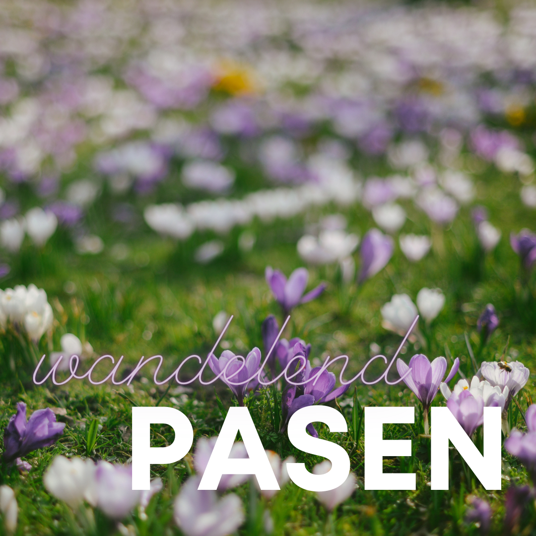 Copy of Paaswandeling